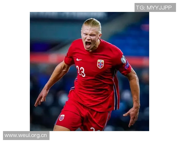 2025年欧洲国家队进球统计哈兰德以15球领跑姆巴佩紧随其后