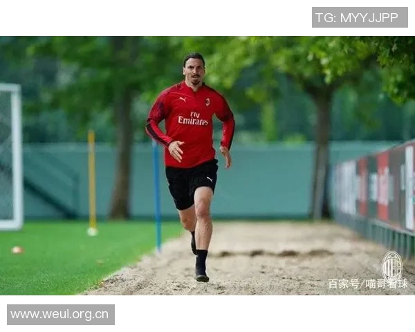 米体报道亚沙里在米兰进行康复训练预计十一月中旬重返赛场 米体报道亚沙里在米兰进行康复训练预计十一月中旬重返赛场