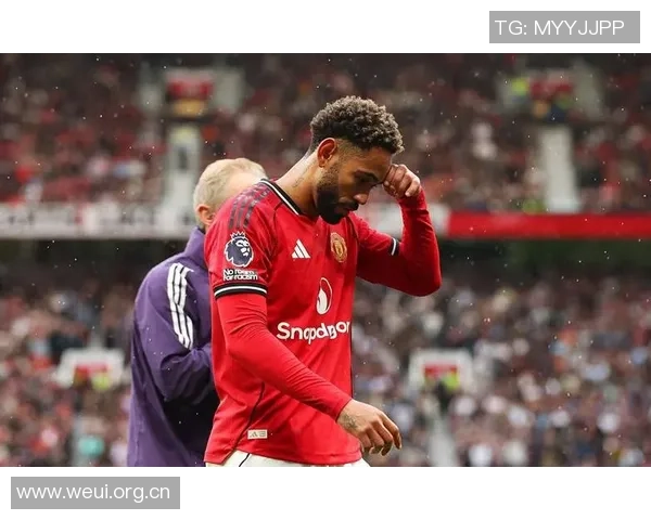 英超年度最佳阵容揭晓曼城新三叉戟携手B费赖斯与范戴克共襄盛举